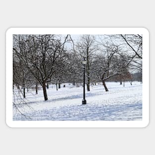 Snowy Park Landscape Sticker
